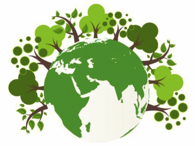 6 Servizi Ecologici Integrati